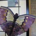 Living Works of Art - Butterfly